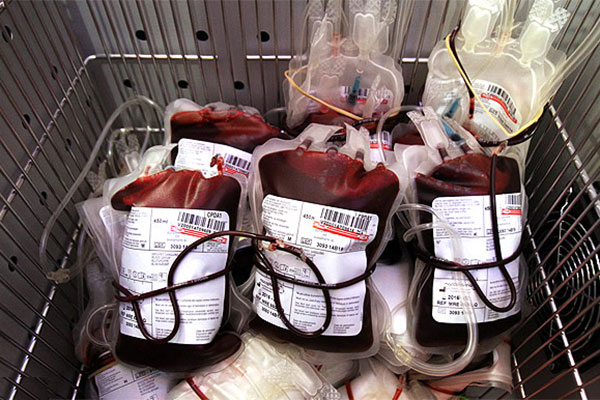 مدیرعامل سازمان انتقال خون: سهم زنان ایرانی از اهدای خون پنج درصد است